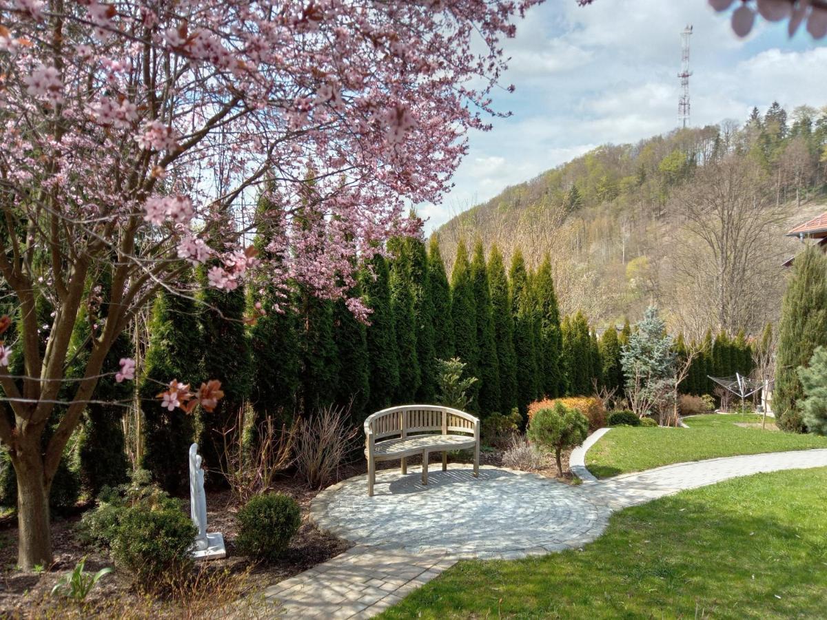 Pokoje Goscinne Monti Kudowa-Zdrój Exterior foto